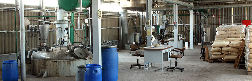 Banner Image 1